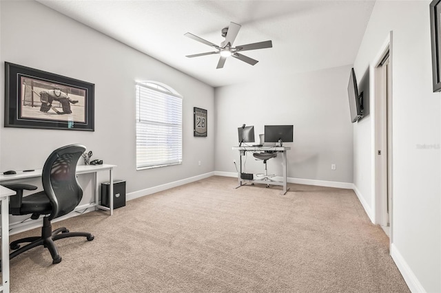 office space featuring carpet and ceiling fan