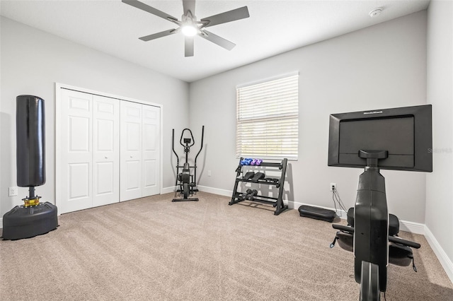 workout area featuring ceiling fan and carpet flooring