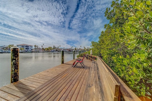 dock area with a water view