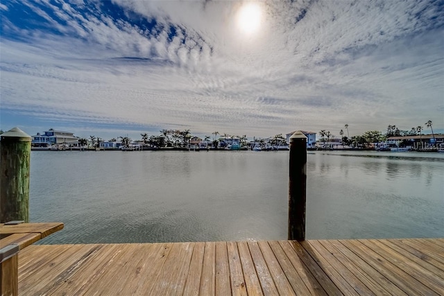 dock area with a water view