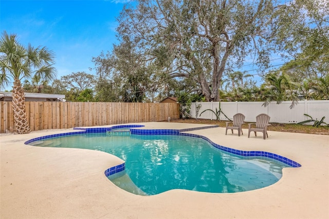 view of swimming pool with a patio area