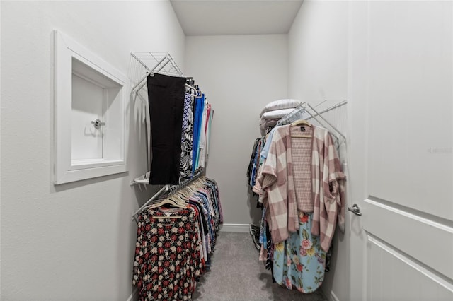 walk in closet with carpet flooring