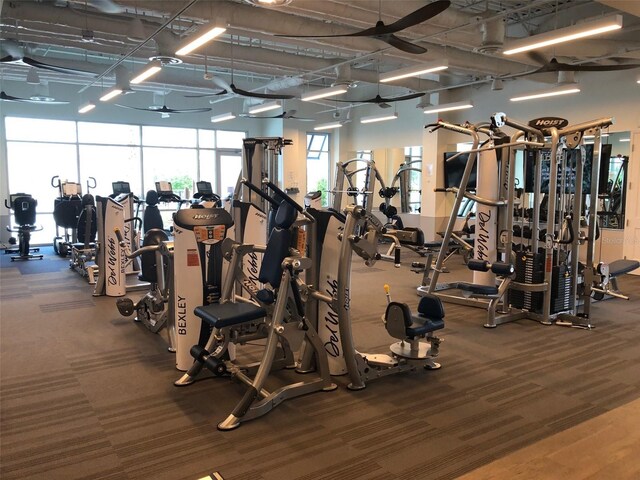 gym with carpet floors