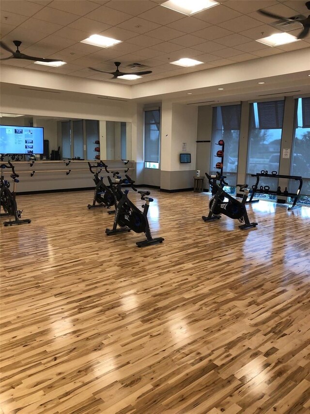 gym featuring a paneled ceiling, wood finished floors, and a ceiling fan