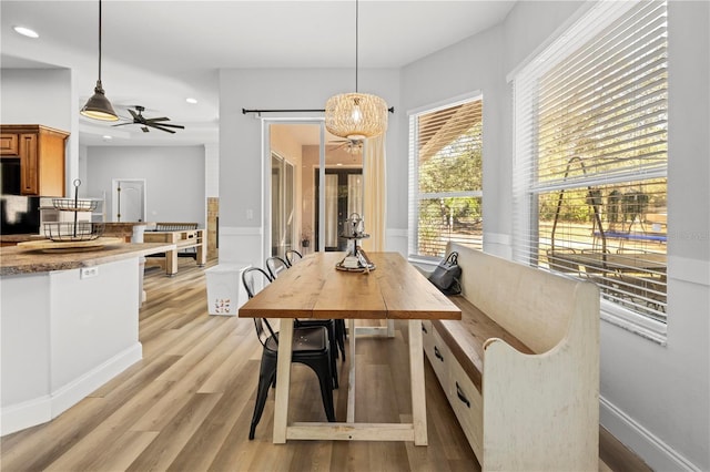 dining room featuring ceiling fan and light hardwood / wood-style floors