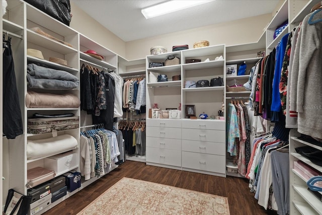 spacious closet with dark hardwood / wood-style flooring