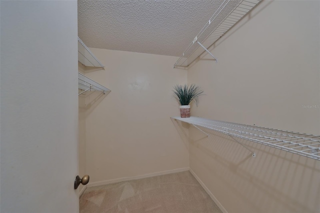 spacious closet featuring light carpet