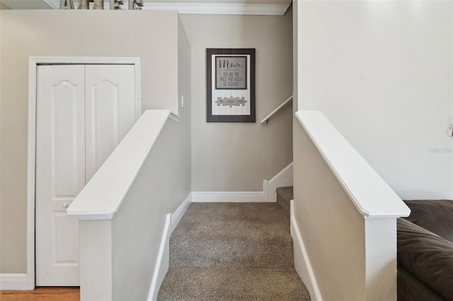 staircase with ornamental molding and carpet floors