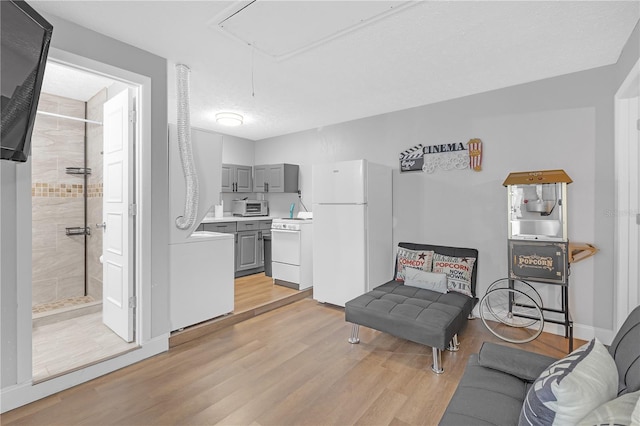 living room with light hardwood / wood-style floors