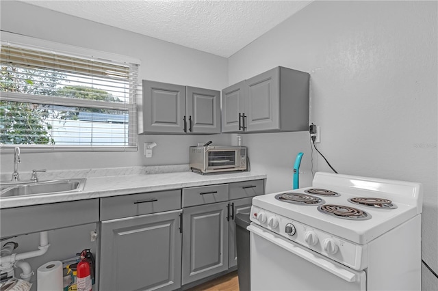 kitchen featuring sink, a textured ceiling, gray cabinetry, and white range with electric cooktop