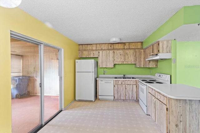 kitchen with sink, white appliances, and a textured ceiling