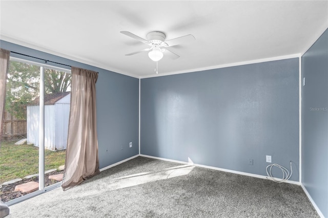 empty room with ceiling fan and carpet floors