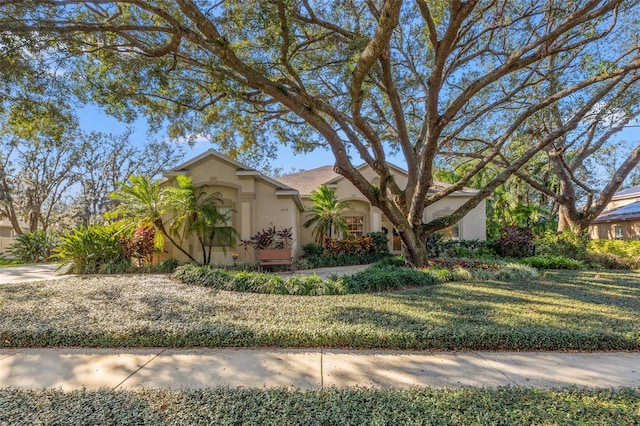 view of front of home with a front lawn