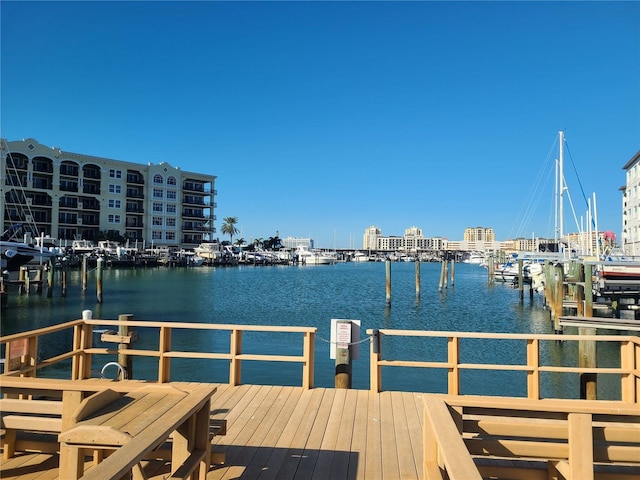 dock area with a water view