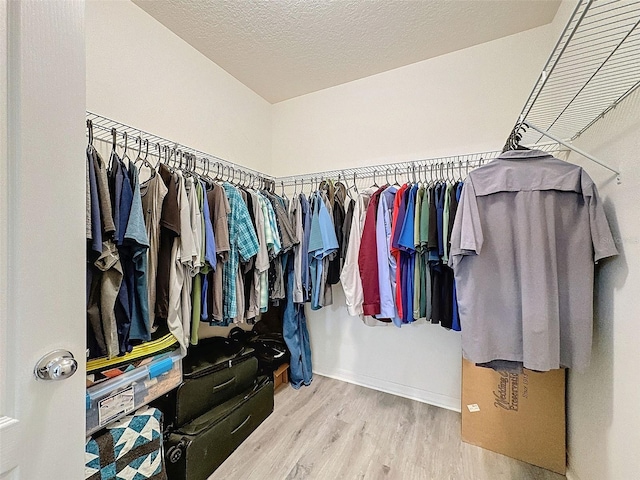 spacious closet featuring wood-type flooring