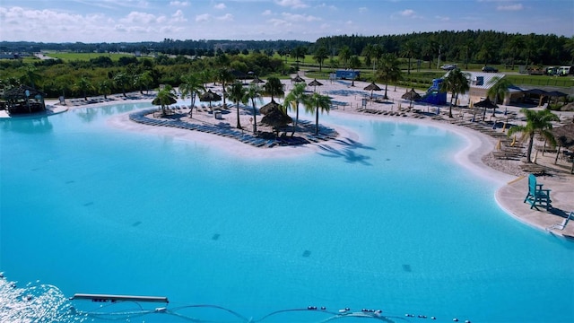 view of swimming pool featuring a water view and a view of the beach