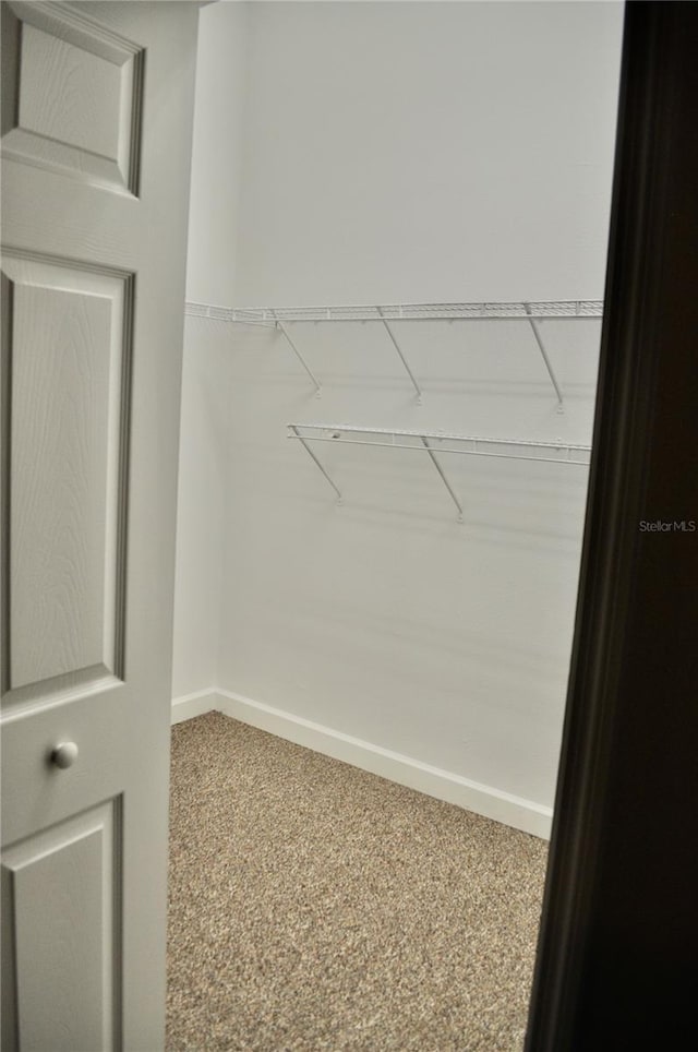 walk in closet with carpet