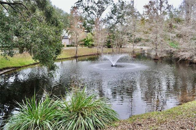 view of water feature