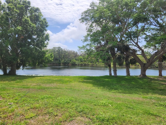 1919 Blue River Rd, Holiday, FL 34691 - photo 6