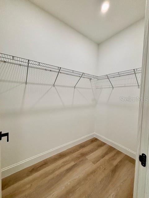 walk in closet with hardwood / wood-style floors