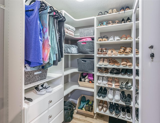 spacious closet with hardwood / wood-style floors