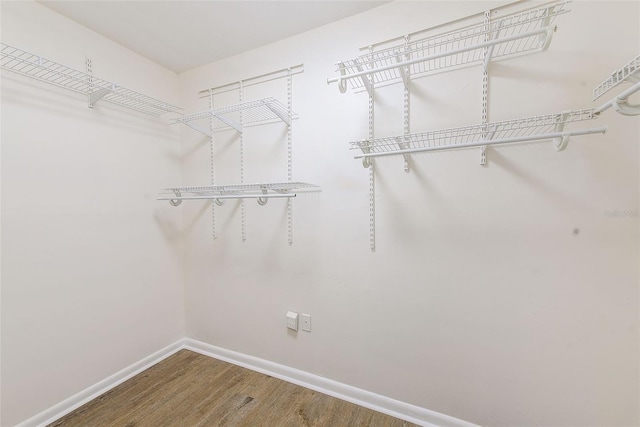 walk in closet featuring hardwood / wood-style floors