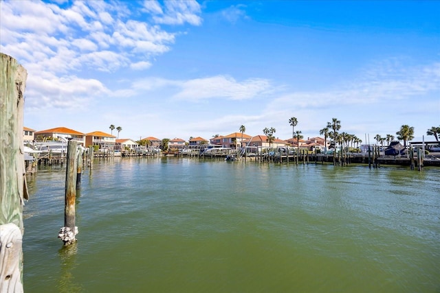 dock area with a water view