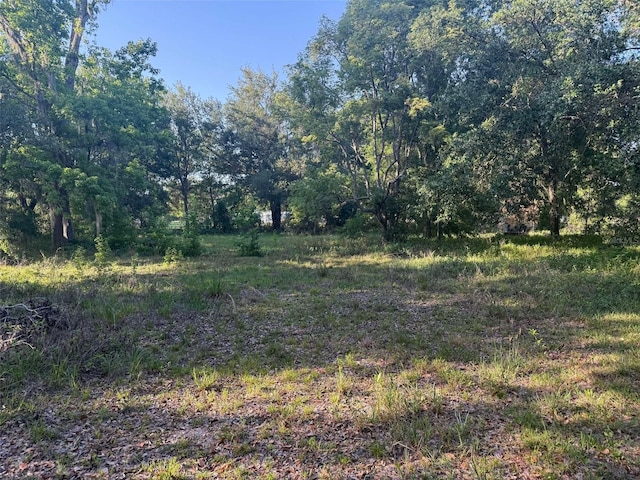 7106 Sky Dr, Wesley Chapel, FL 33545 - photo 3
