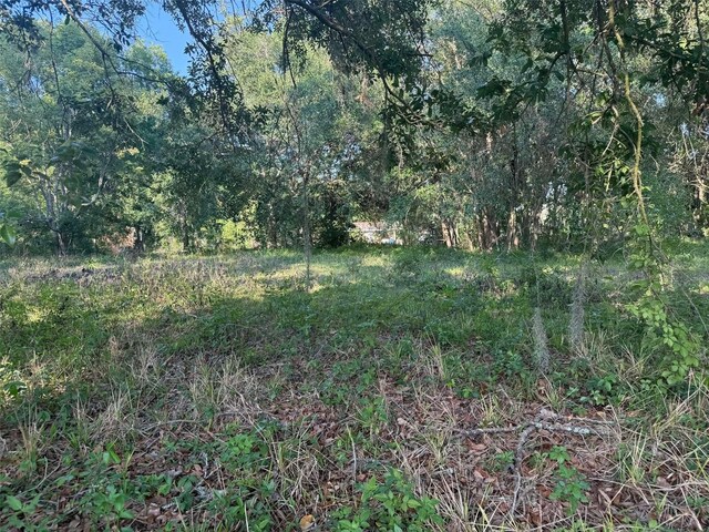 7106 Sky Dr, Wesley Chapel, FL 33545 - photo 5