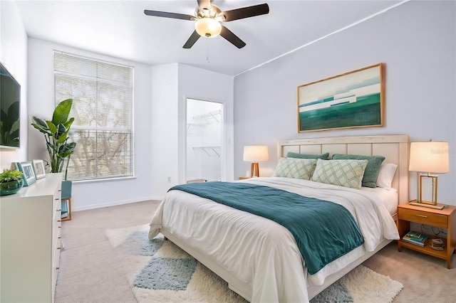 carpeted bedroom with ceiling fan, a walk in closet, and a closet