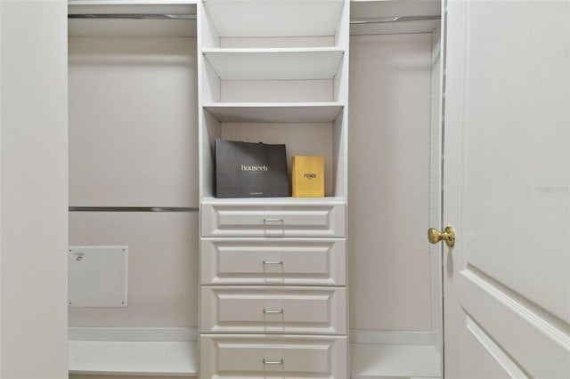 view of spacious closet