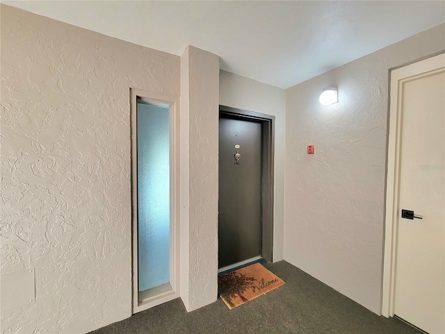 hallway featuring carpet floors