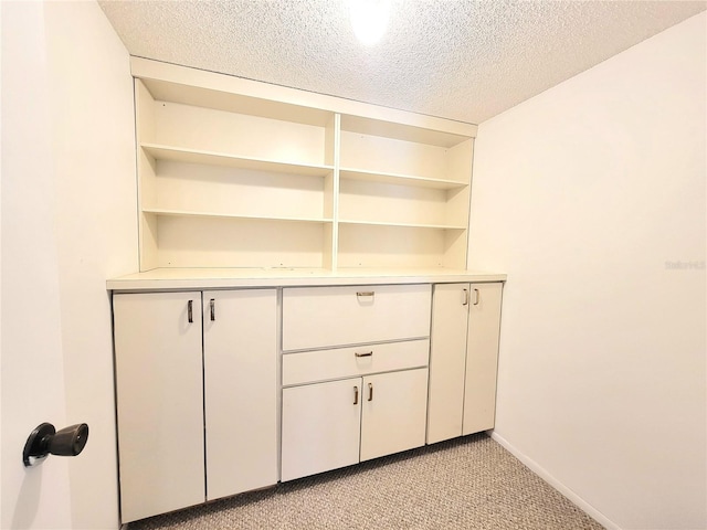 room details featuring carpet floors and a textured ceiling