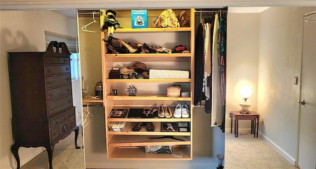 view of closet