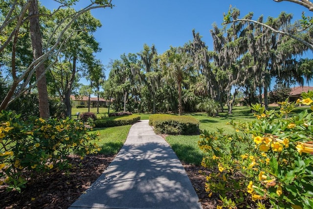 view of property's community with a lawn