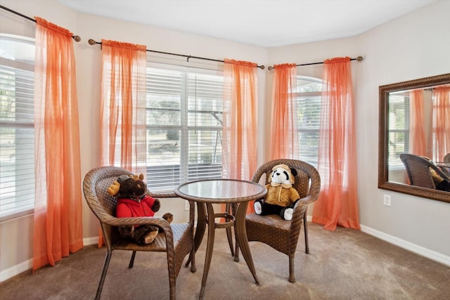 sitting room featuring carpet flooring