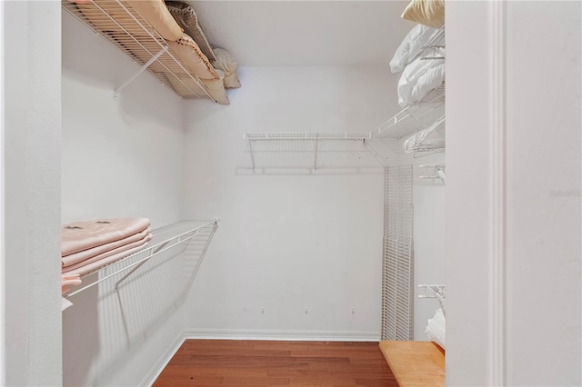 walk in closet with wood-type flooring