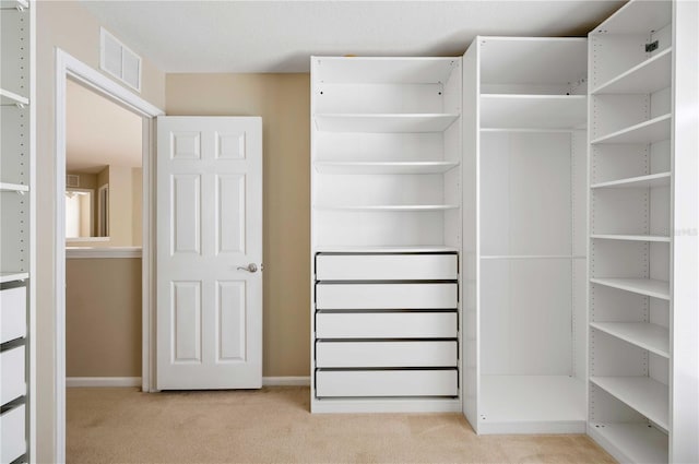 spacious closet featuring light colored carpet