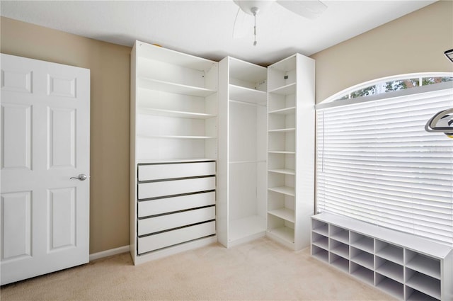 spacious closet featuring light carpet