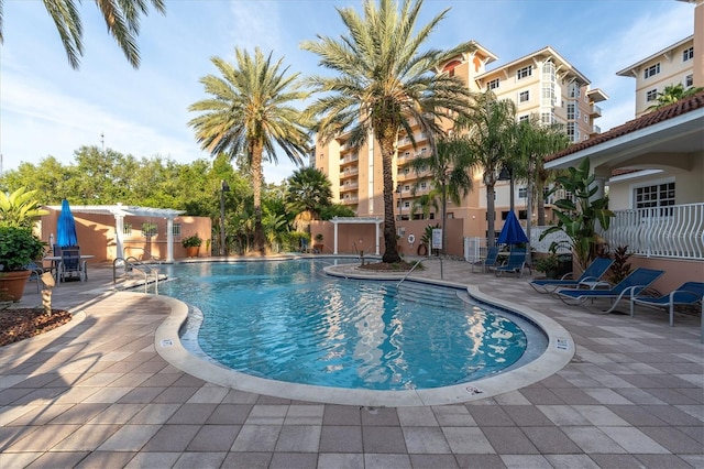 12077 Gandy Blvd N Unit 344, Saint Petersburg, FL 33702 - community pool featuring a patio