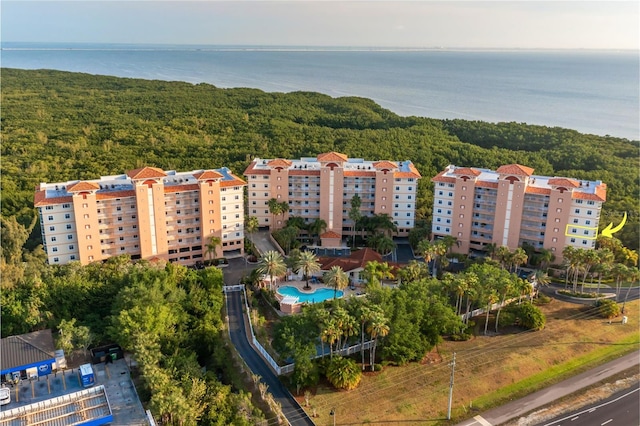 12077 Gandy Blvd N Unit 344, Saint Petersburg, FL 33702 - drone / aerial view of a pool, a heavily wooded area, and a large body of water