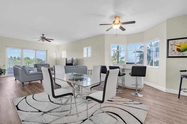 12077 Gandy Blvd N Unit 344, Saint Petersburg, FL 33702 - dining area featuring ceiling fan, plenty of natural light, and wood finished floors