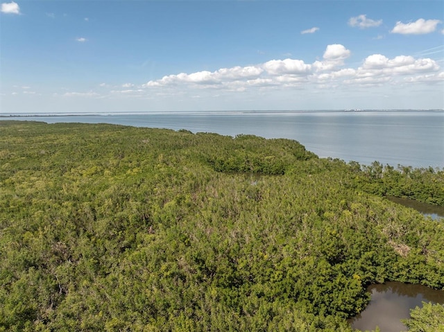 12077 Gandy Blvd N Unit 344, Saint Petersburg, FL 33702 - water view with a forest