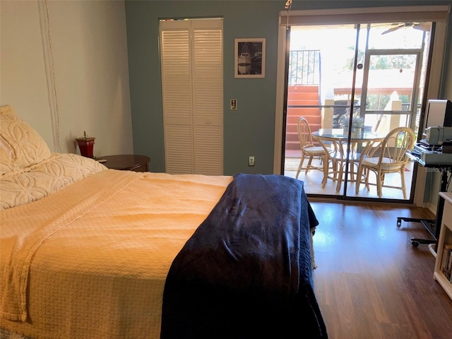 bedroom featuring dark wood-type flooring and a closet