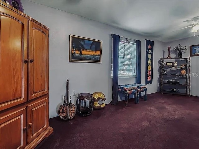 miscellaneous room with dark carpet