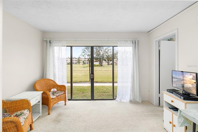 sitting room featuring a textured ceiling and light colored carpet