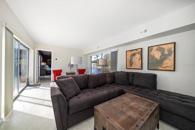 living room with a wealth of natural light