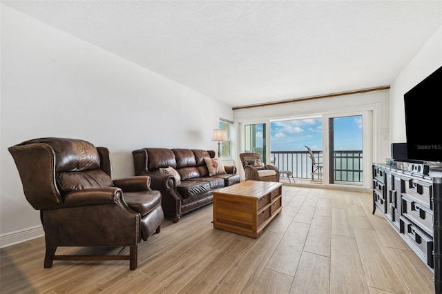 living area featuring a textured ceiling and light wood finished floors