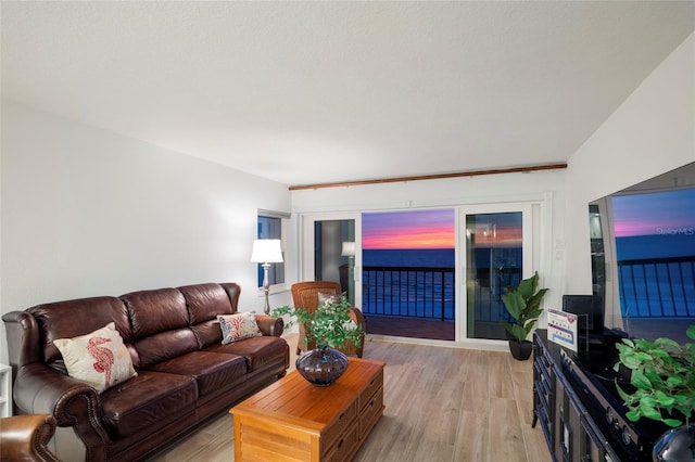 living room with light wood-style flooring