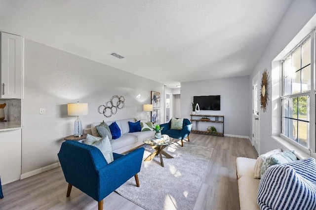 living room featuring light hardwood / wood-style floors